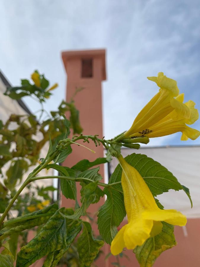 Riad Dar Mamouni Marrakesh Exterior photo